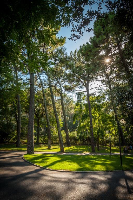Camping La Sousta**** Remoulins Kültér fotó