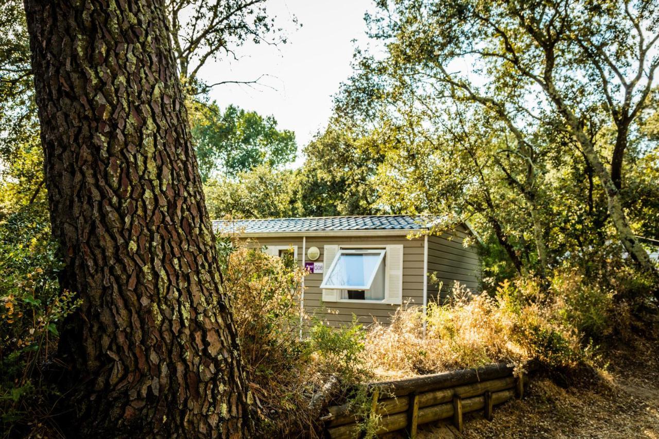Camping La Sousta**** Remoulins Kültér fotó